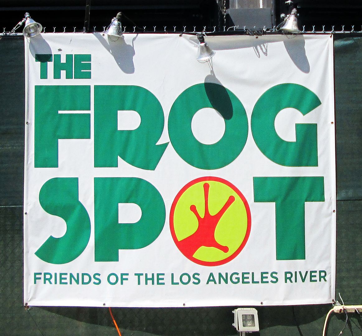 Frog Spot