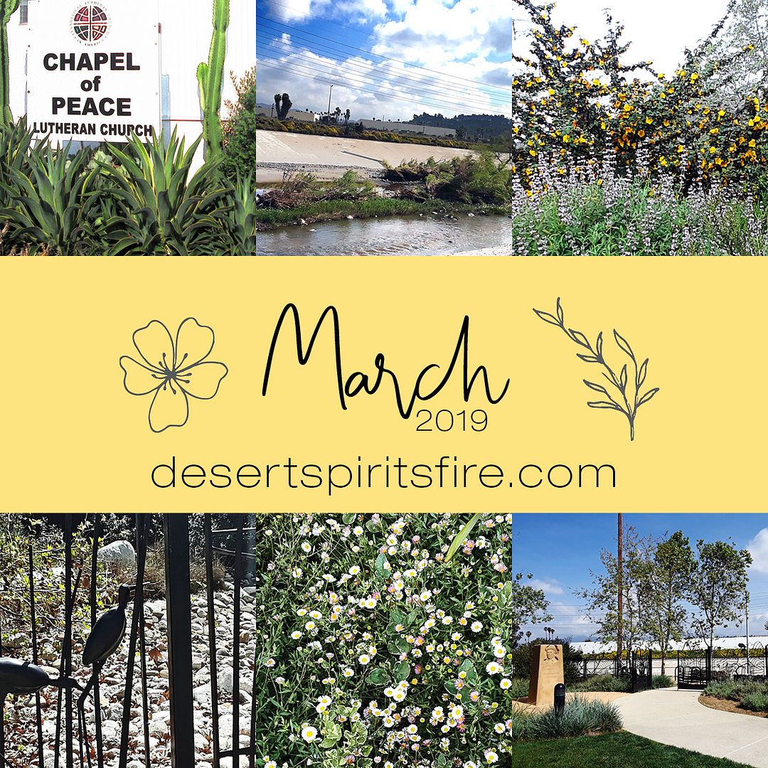 porch stories March 2019 summary 2019