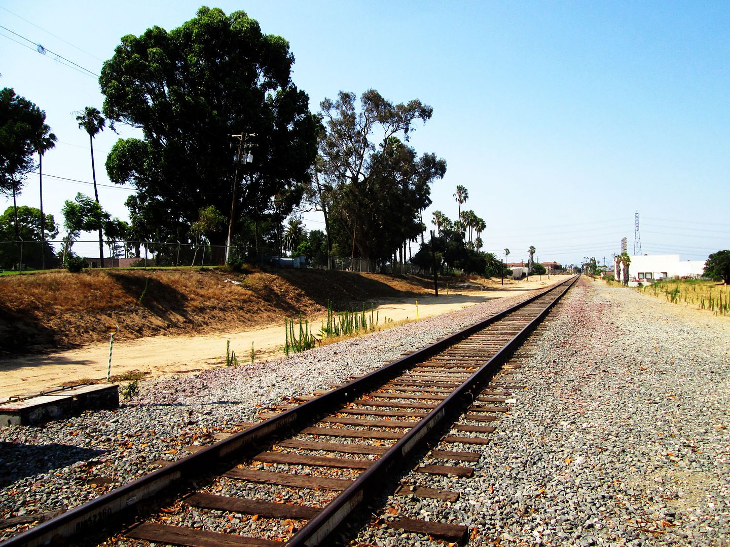 mid-August railroad tracks