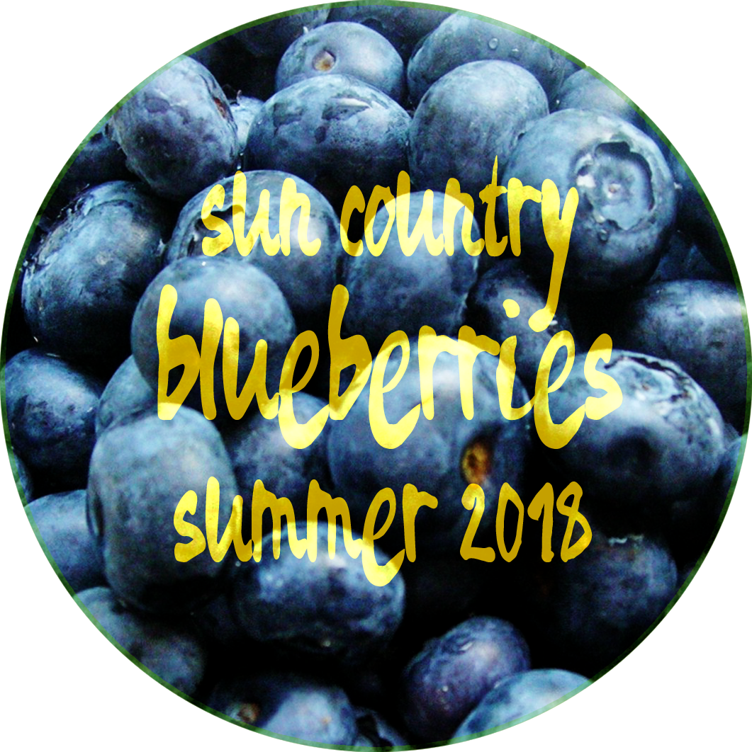 summer 2018 blueberries