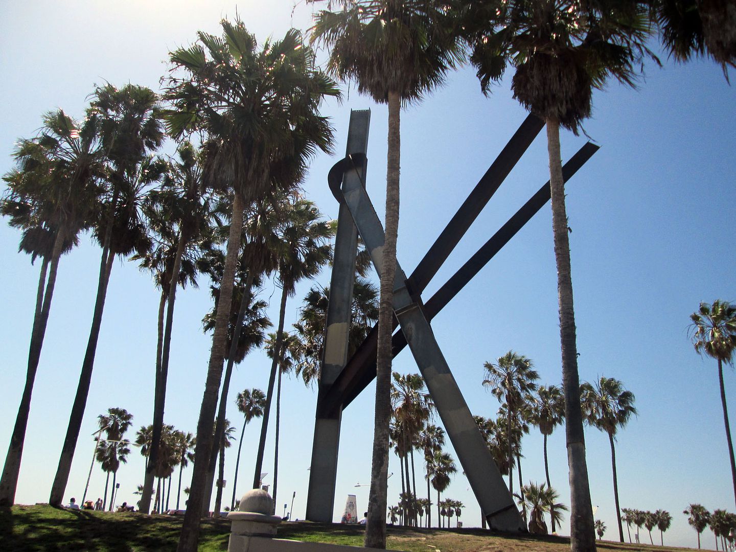 Venice Beach Palm Trees