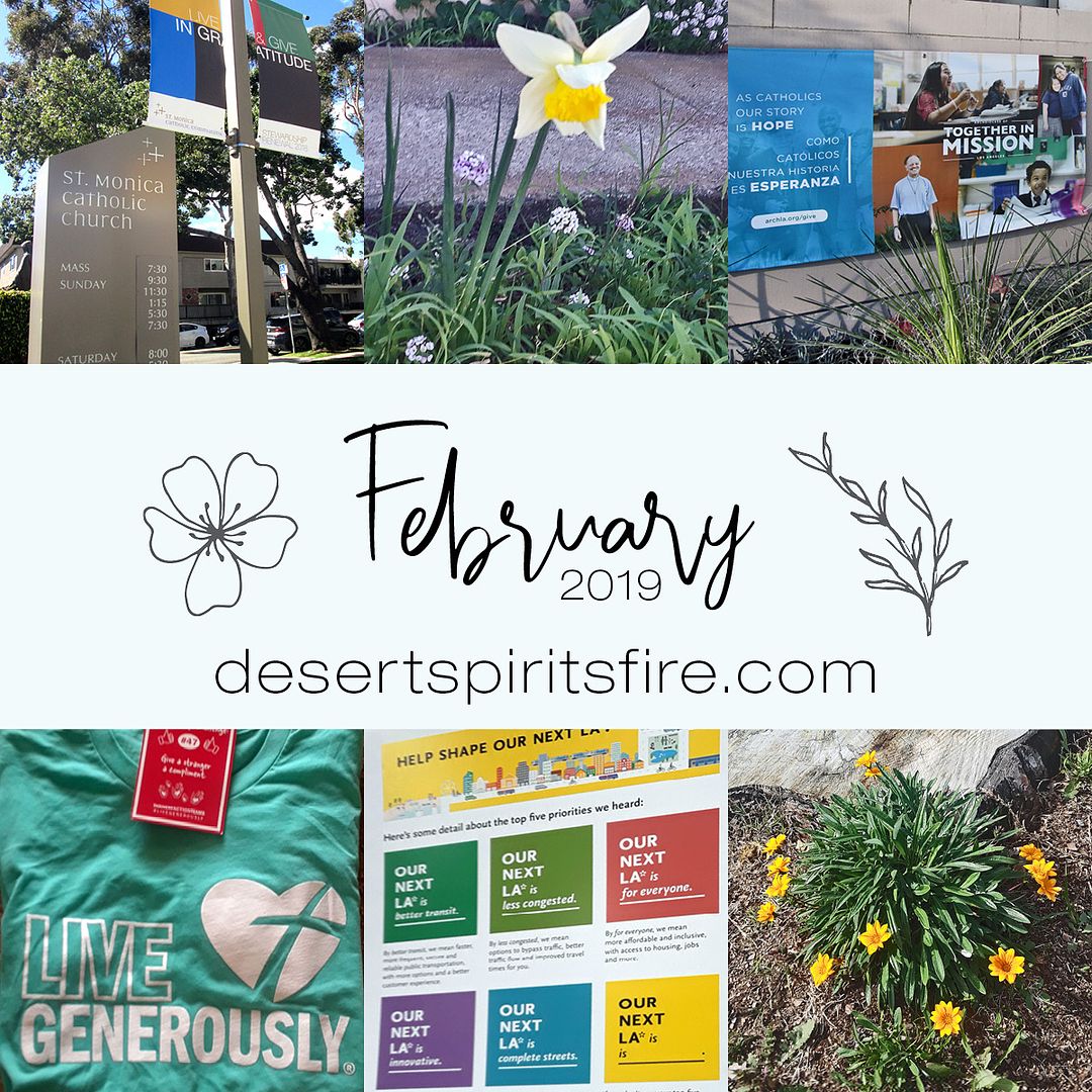 February 2019 desert spirit's fire