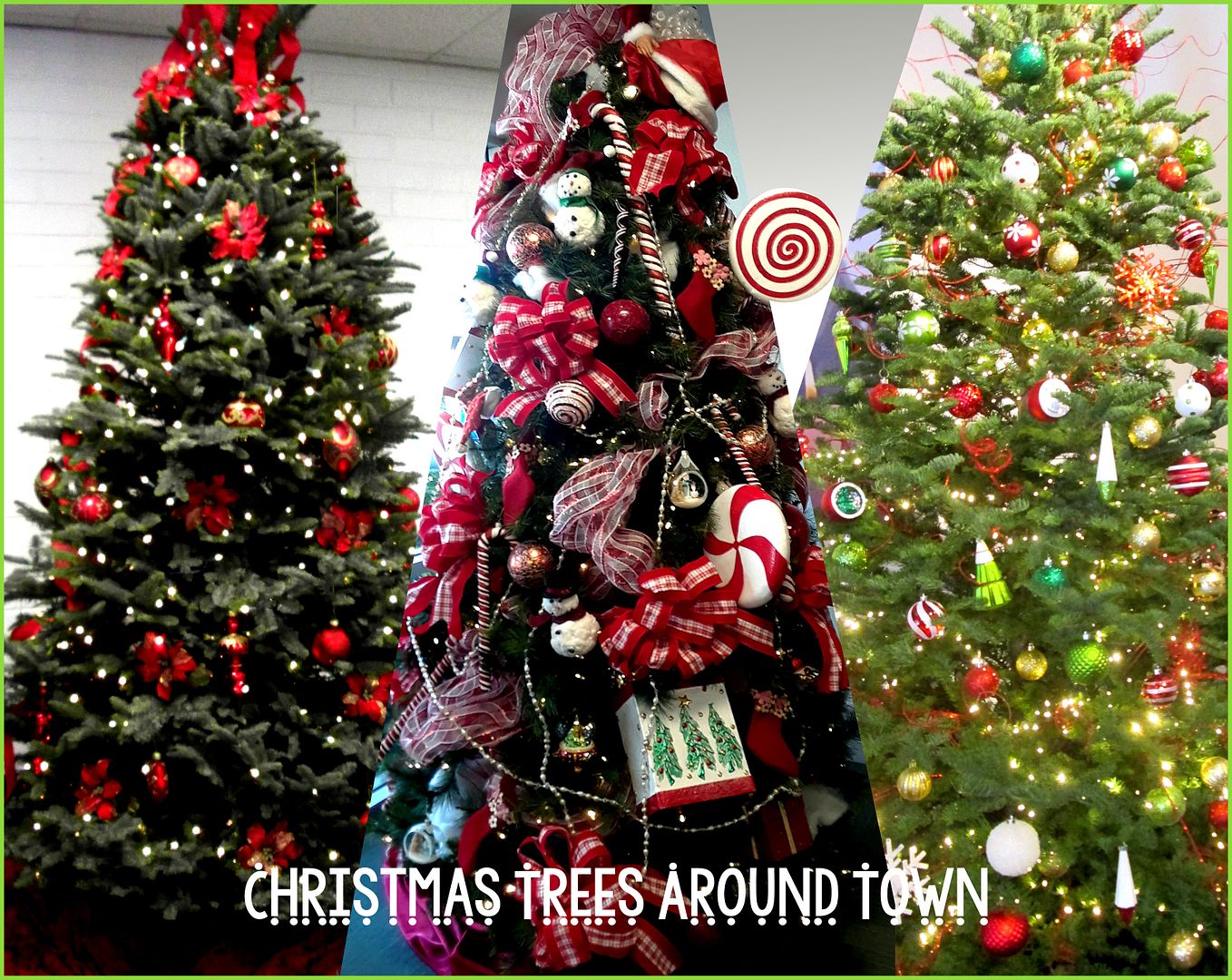 Christmas Trees 2018