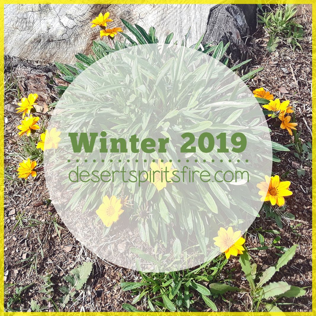 winter 2019 summary