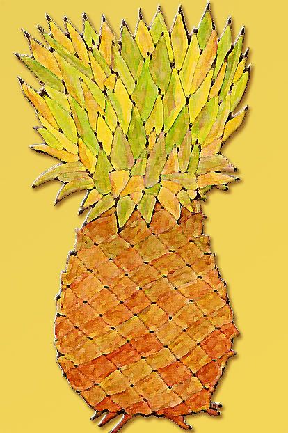pineapple 2009