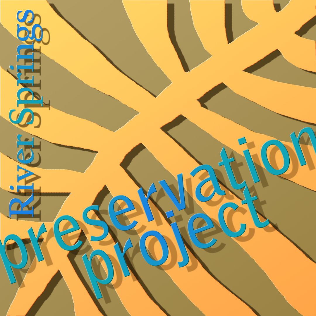 preservation project