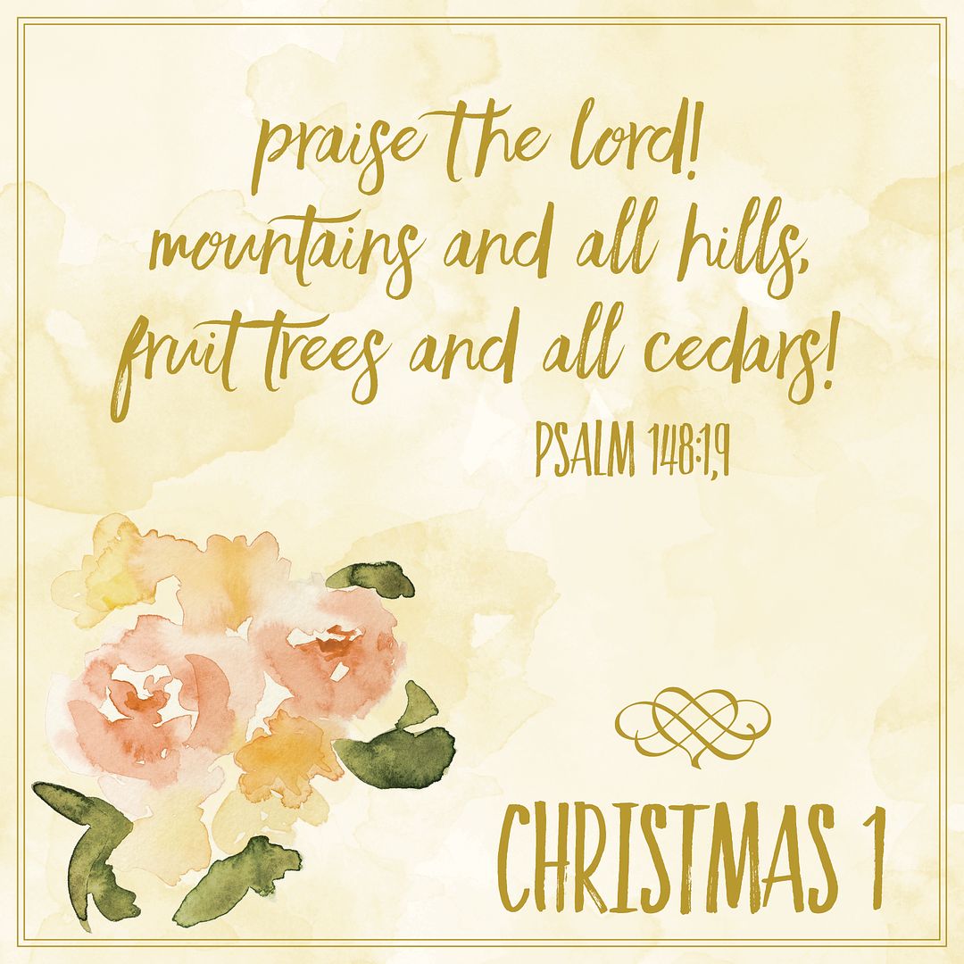 Psalm 148 Christmas 1 2015