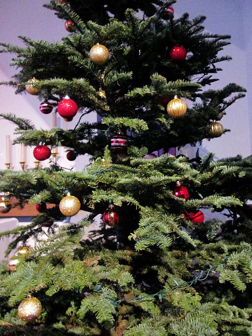 December 2017 Christmas tree