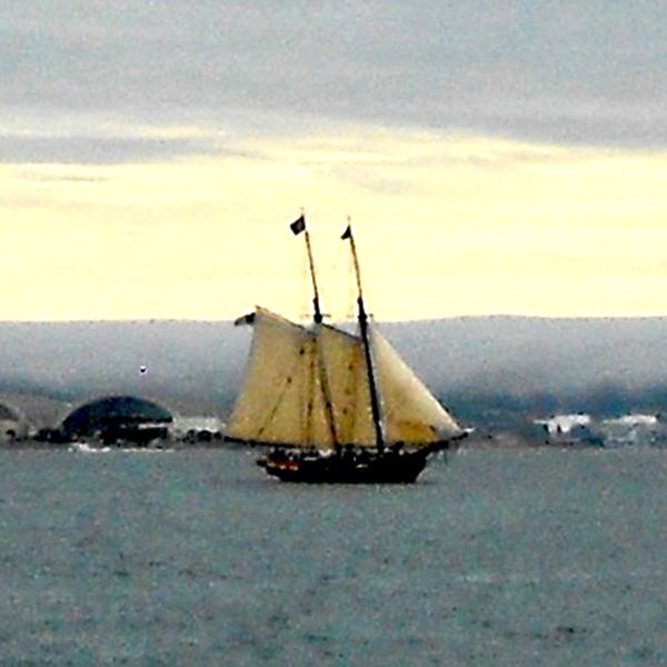 Spirit of Dana Point, Festival of Sail 2013