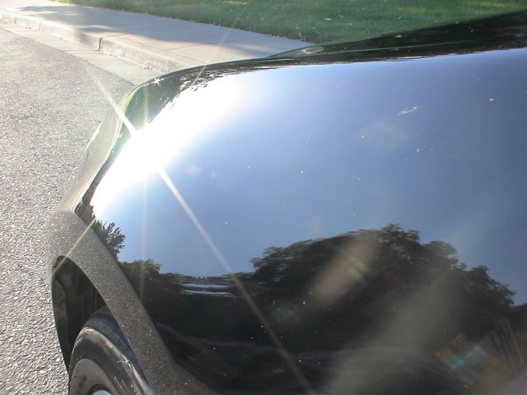 frontfender2.jpg