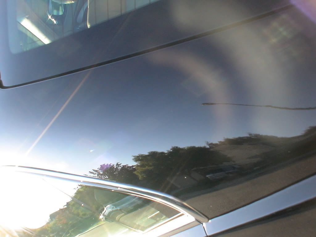 rearpanel.jpg