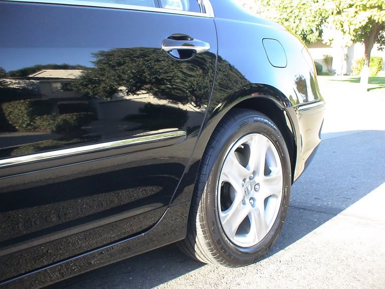 rearside.jpg