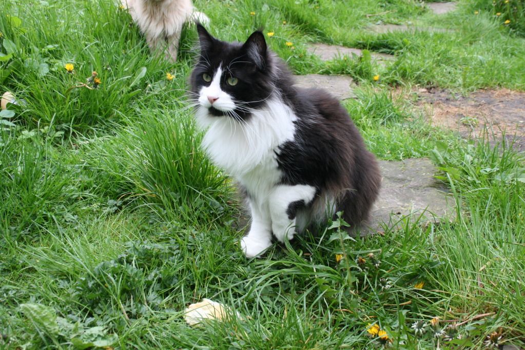 11mei2012080.jpg