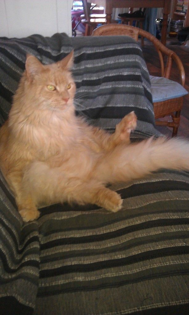 IMAG0074.jpg