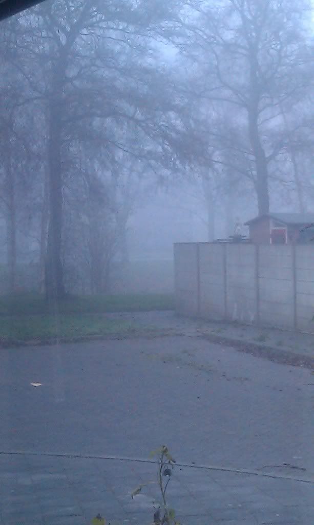 IMAG0203-1.jpg