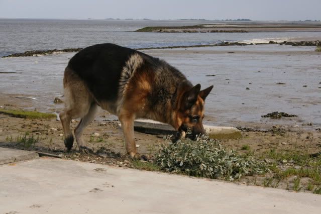 _MG_0518.jpg