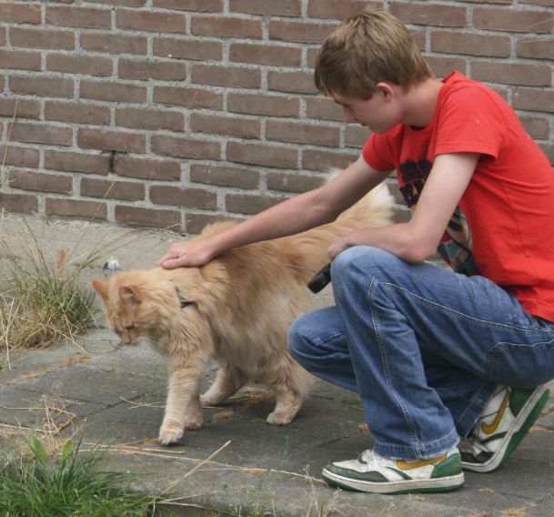 lief.jpg