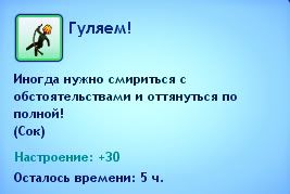 242.jpg