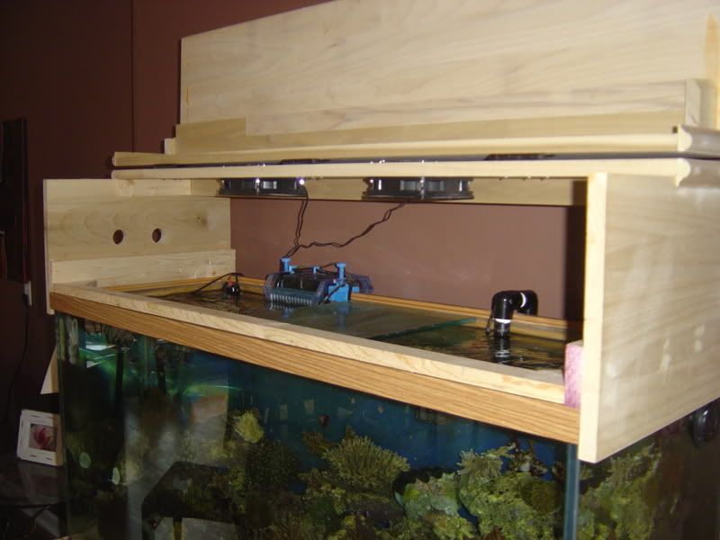 DIY Aquarium Canopy