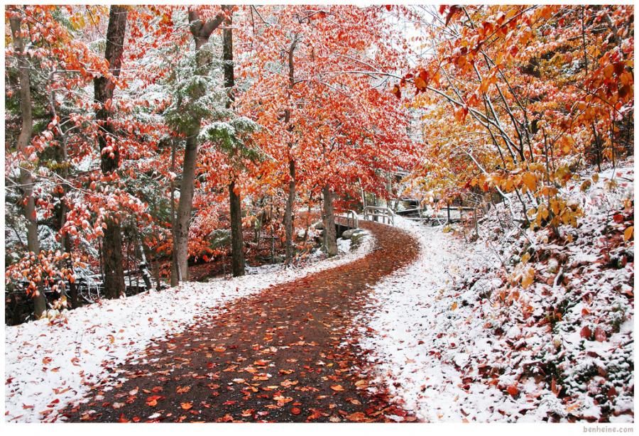 Photograph of the Day An AutumnWinter Path Lingua Franca