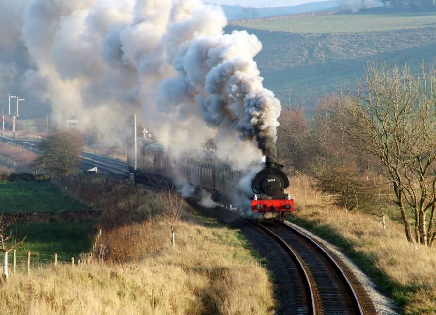 Photograph of the Day Train and Smoke Lingua Franca