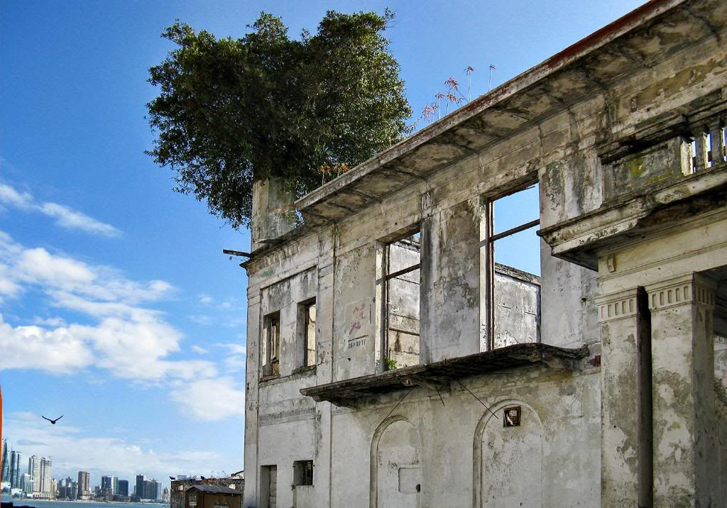 The dilapidated condition of the historic building. Notice the vegetation growing on top of the structure.