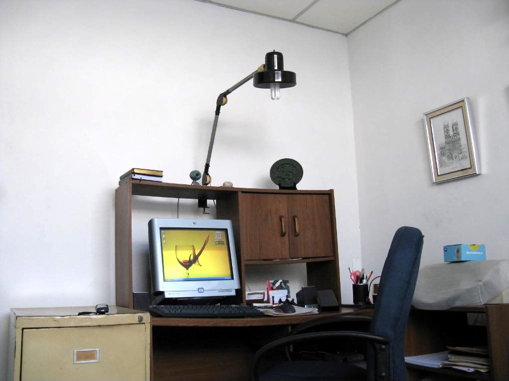 The flexible desk lamp produces a soft white light which eases the strain on my eyes. Theres also a fluorescent light on the room which adds to the comfort of reading the computer screen.