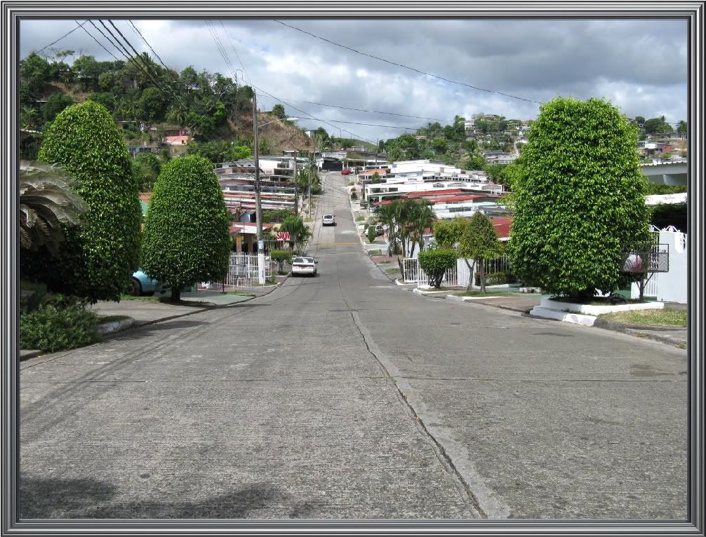 Vie of Calle Las Acacias at El Bosque neighborhood in Tumba Muerto.
