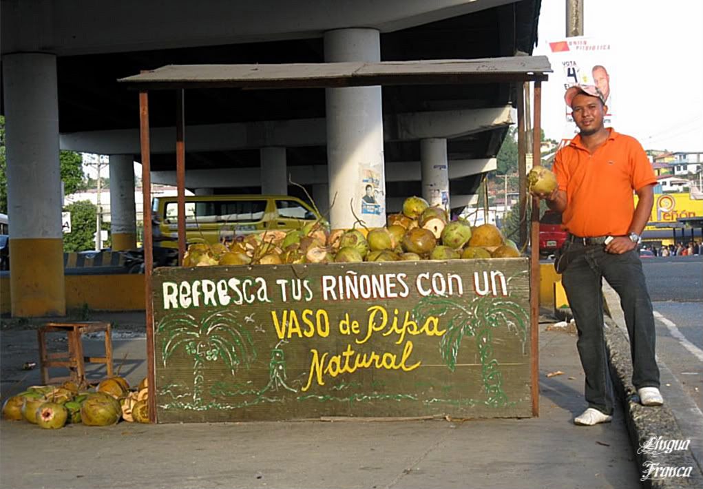 Cristian proudly posing for the camera holding a coconut in his hands. This is the bread and butter of his family and other three employees. (Credit: Omar Upegui R.)