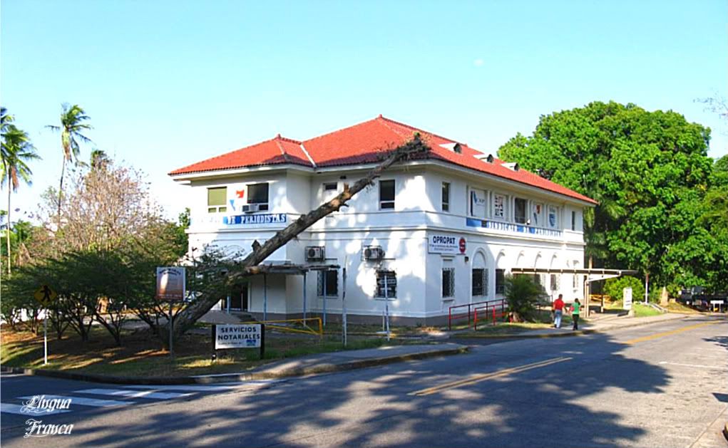 Photograph of a fallen Royal Palm tree over a house at Balboa Heights, Panama City, Panama. (Credit: Omar Upegui R.)