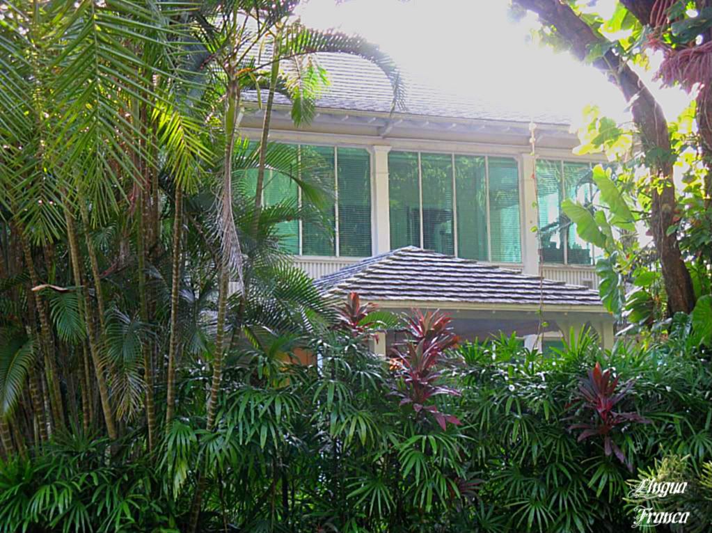 Photograph of the upper section of the house framed by beautiful tropical vegetation. (Credit: Omar Upegui R.)
