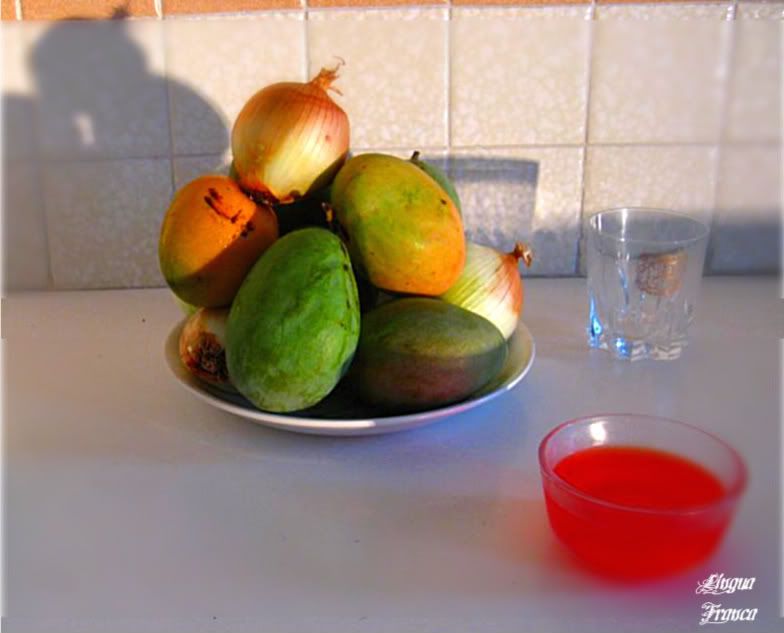 The light source was the old spotlight. With FotoFlexer I blurred the edges of the picture to center the attention to the mangoes and onions. (Credit: Omar Upegui R.)