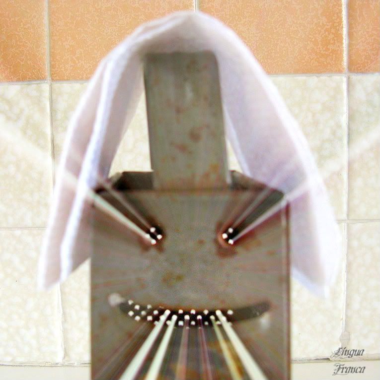 Now the grater looks like a Halloween Jack-o-Lantern emitting rays of light from it eyes and mouth. It looks kind of spooky. I edited the photograph with Picknik application. (Credit: Omar Upegui R.)
