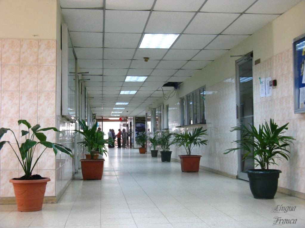 Another view of the well-decorated corridor at the entrance of the building. (Omar Upegui R.)
