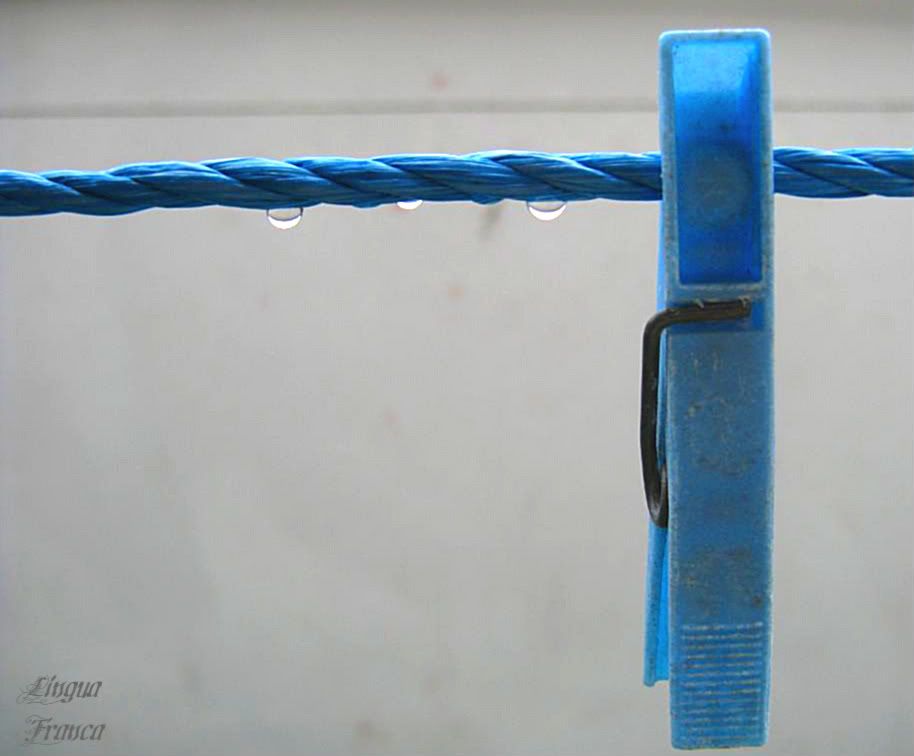 Photograph of a blue plastic clothespin hanging from a plastic cord after a brief rainfall. (Credit: Omar Upegui R.)