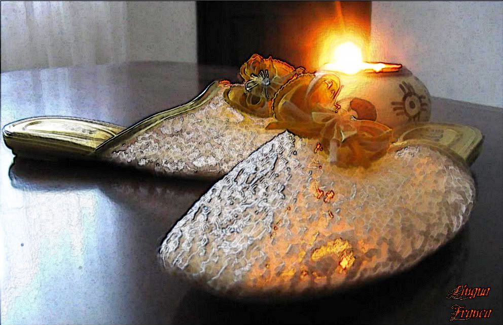 An artistic version (Fresco) of previous photograh making the slipper glow like a lamp in the dark. (Credit: Omar Upegui R.)