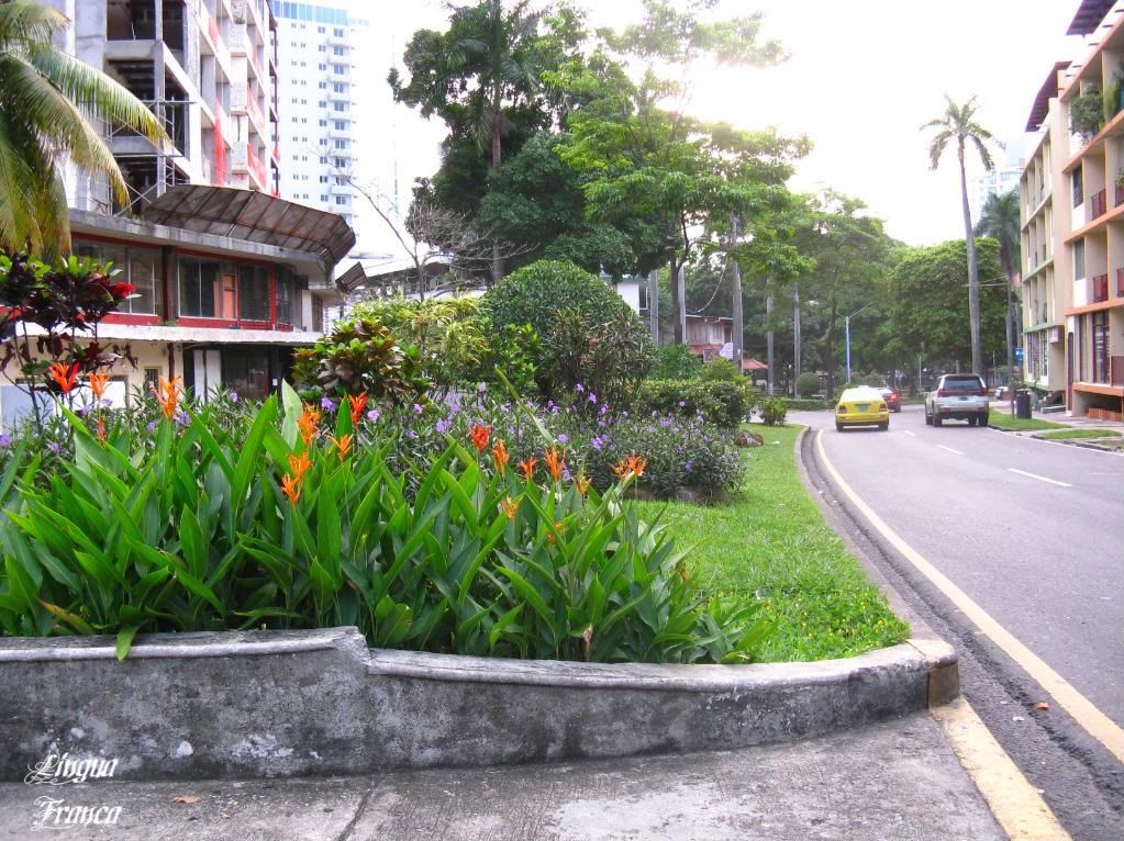 View of the many small gardens you will find along Via Argentina in Panama City, Panama. (Credit: Omar Upegui R.)