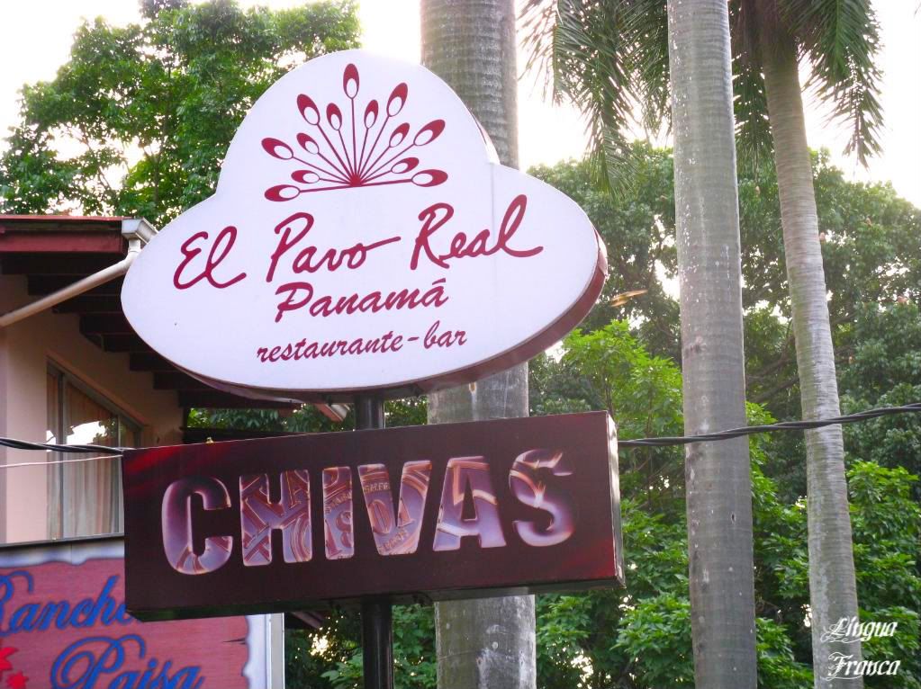 Another view of the sign of El Pavo Real Restaurant at Via Argentina in Panama City, Panama. Notice the impressive royal palm trees and the lush tropical vegetation in the background. (Credit: Omar Upegui R.)