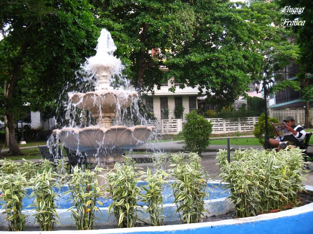Photograph of the seductive fountain at Parque Andrés Bello surrounded by tropical plants. You can see a young man reading a newspaper towards your right. (Credit: Omar Upegui R.)