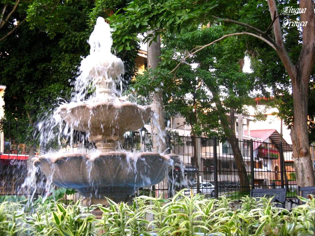 Another view of the fountain showing the lush vegetation of the park. (Credit: Omar Upegu R.)