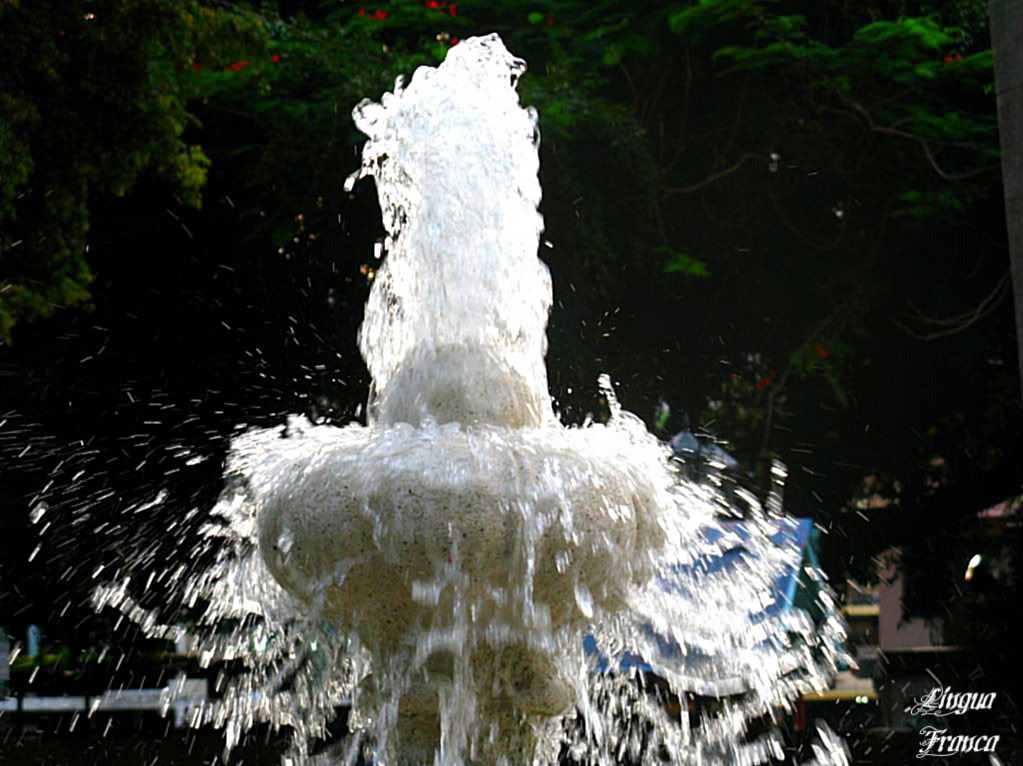 Picture of the jet of crystaline water at the top of the fountain. (Credit: Omar Upegui R.)