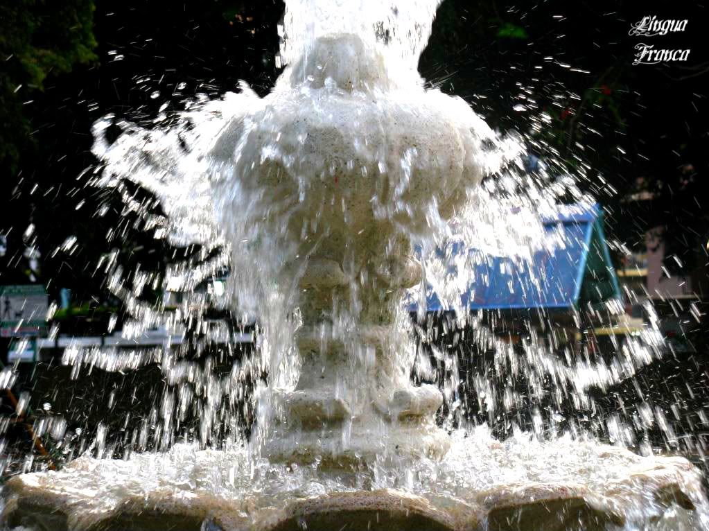 Photograph depicting the whirpool of water at the fountain. The fountain seemed to have a life of its own moving endlessly. (Credit: Omar Upegui R.)