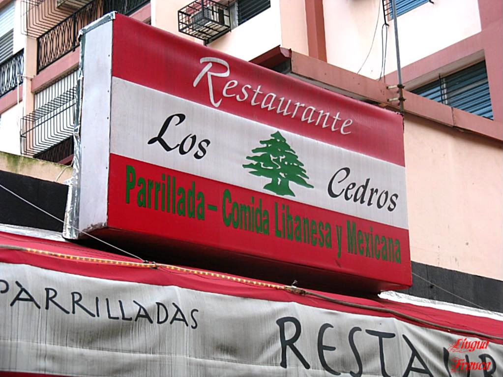 Photograph of a large sign of Los Cedros announcing their Mexican and Lebanese cuisine. Succulent steaks also form part of their exquisite menu. (Credit: Omar Upegui R.)