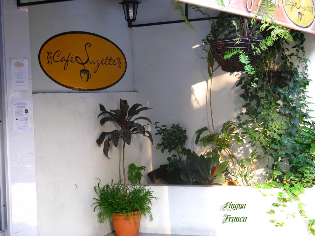 View of a corner of Cafe Suzette nicely decorated with tropical plants. (Credit: Omar Upegui R.)