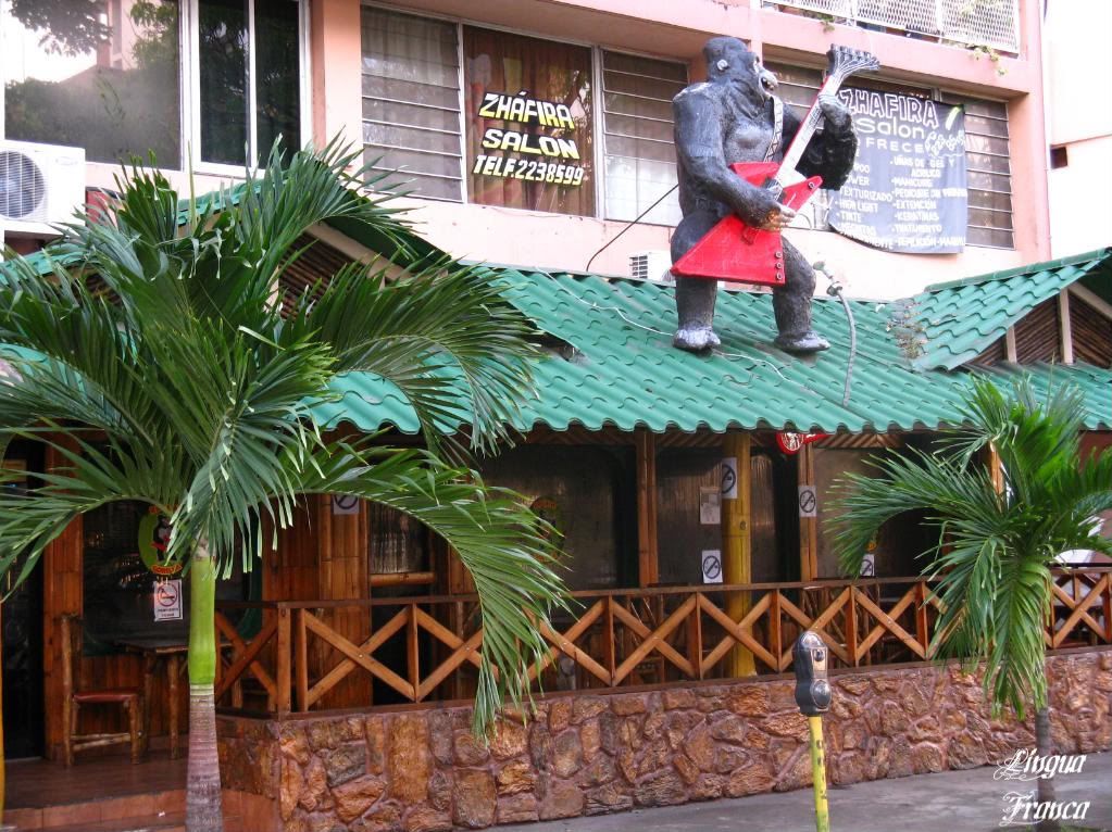 A panoramic view of the Rockin Gorilla Discotheque with the interesting gorilla playing an electric guitar on the roof of the building. (Credit: Omar Upegui R.)