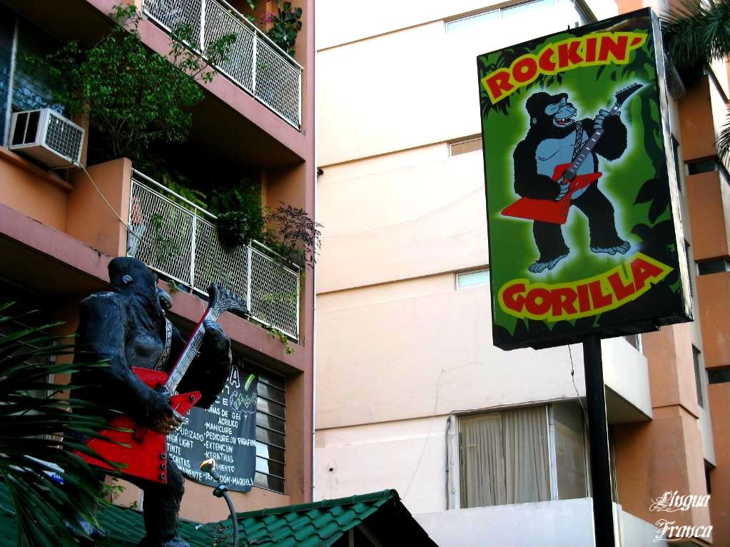 Photograph of the Rockin Gorilla located at Via Argentina in Panama City, Panama. (Credit: Omar Upegui R.)