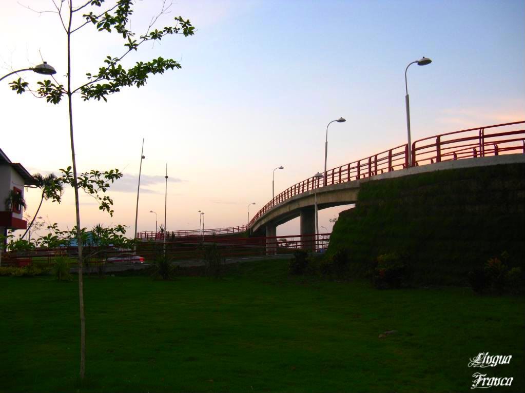 Photograph of a pedestrian bridge at la Cinta Costera in Panama City, Panama. It was very early in the morning. (Credit: Omar Upegui R.)