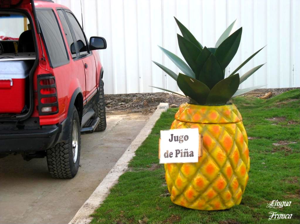 Photograph of a marketing sign at the newly inaugurated Coastal Strip in Panama City, Panama to sell pinepple juice. (Credit: Omar Upegui R.)