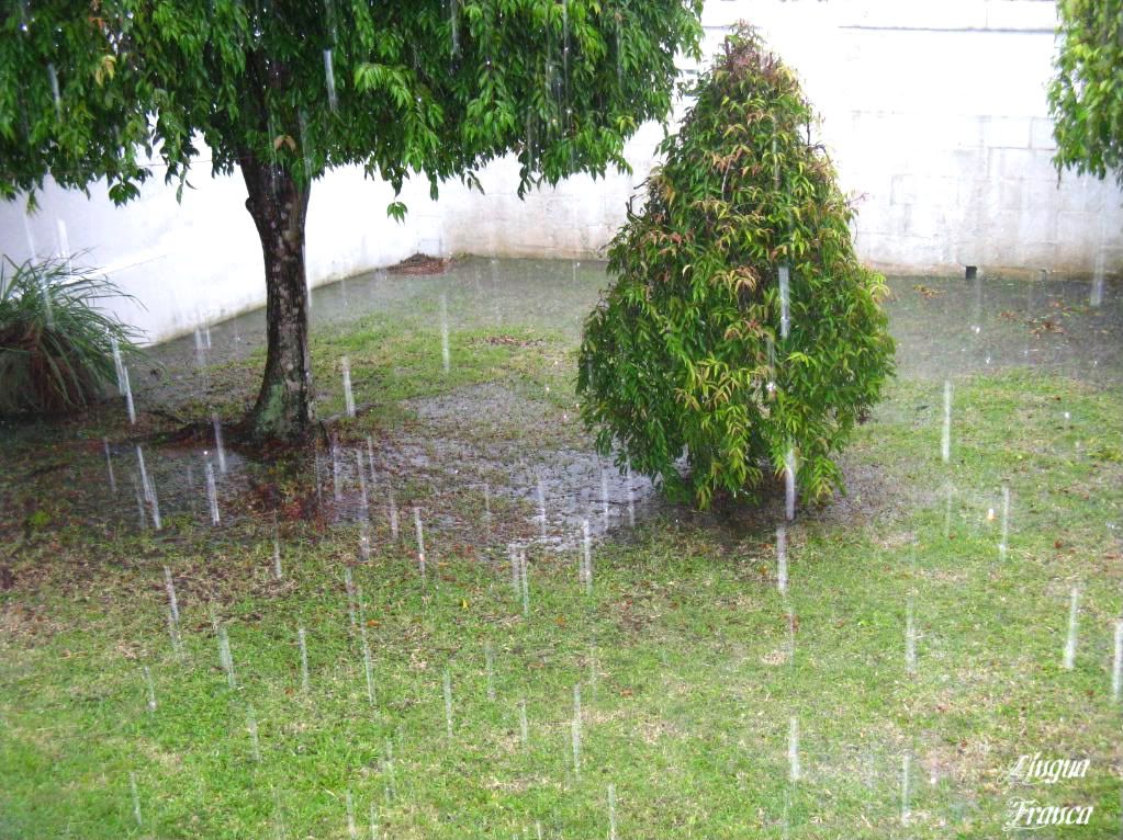 This picture shows how water began to accumulate on one corner of our lawn. Because we live on top of a hill, we have no problem with floods. Thanks God! (Credit: Omar Upegui R.)