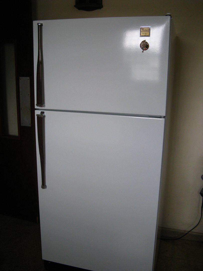 The upper section of the refrigerator recently painted by Victor Gil. (Omar Upegui R.)